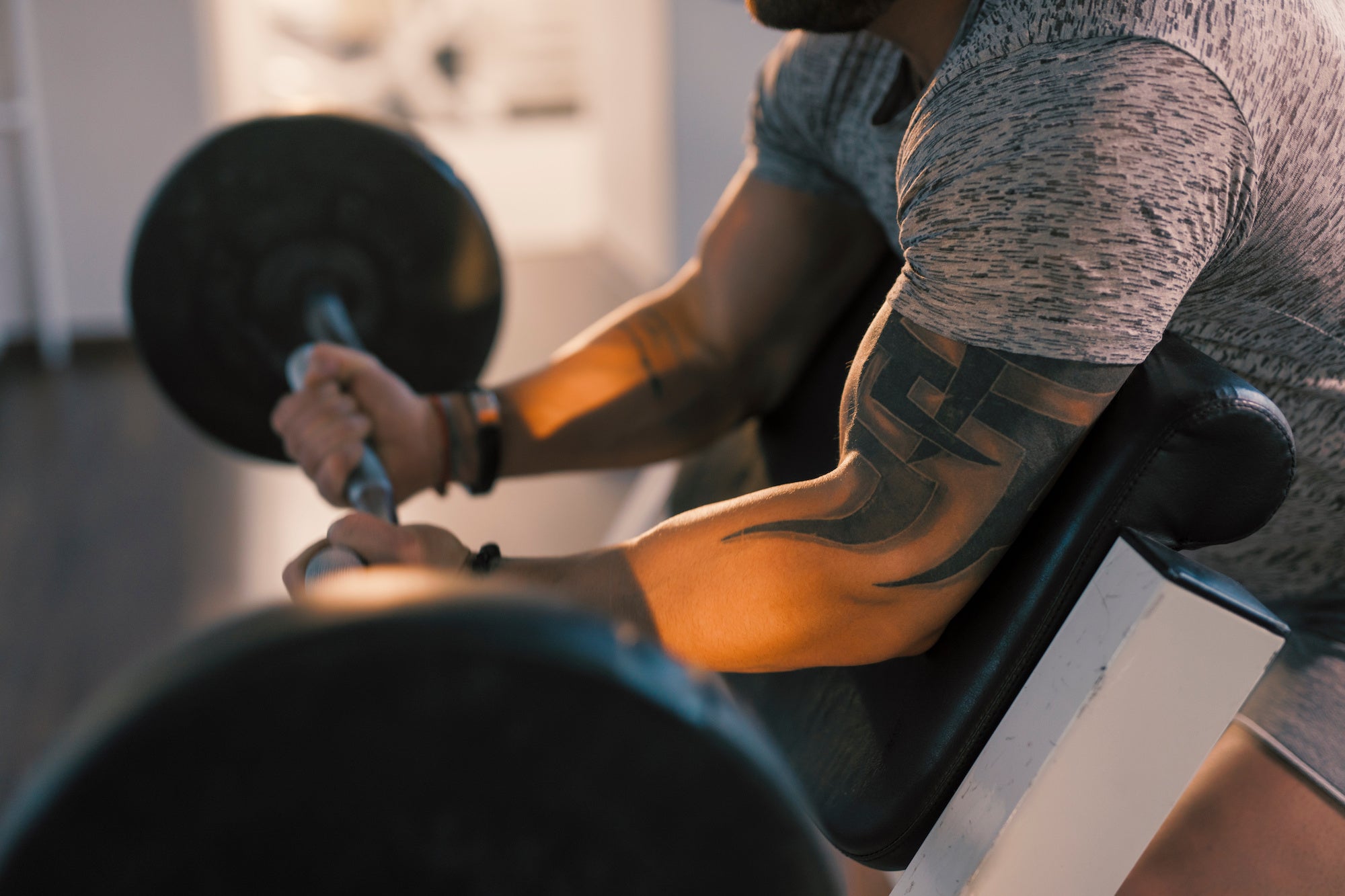 Image of an athlete performing preacher curls.