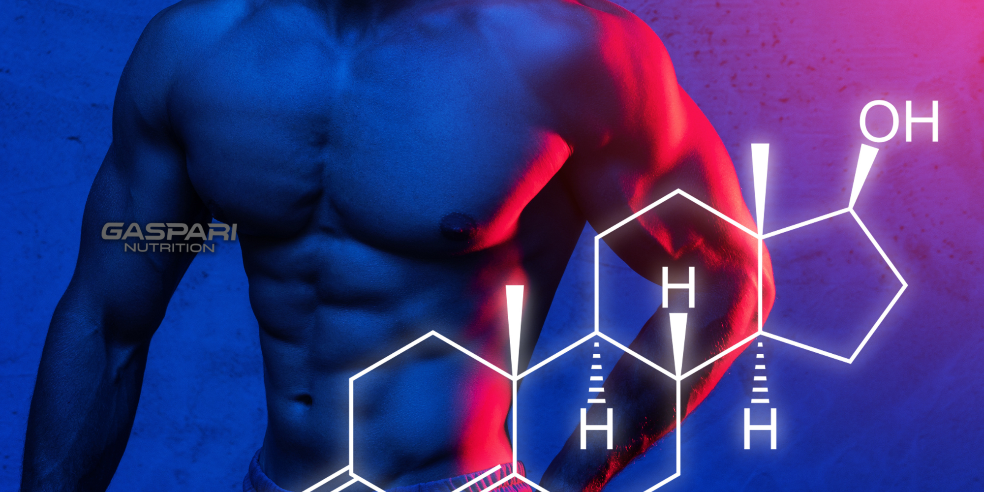 The Power of Testosterone Boosting Supplements: Unveiling the Key Ingredients and Benefits for Muscle Building and Anti-Aging